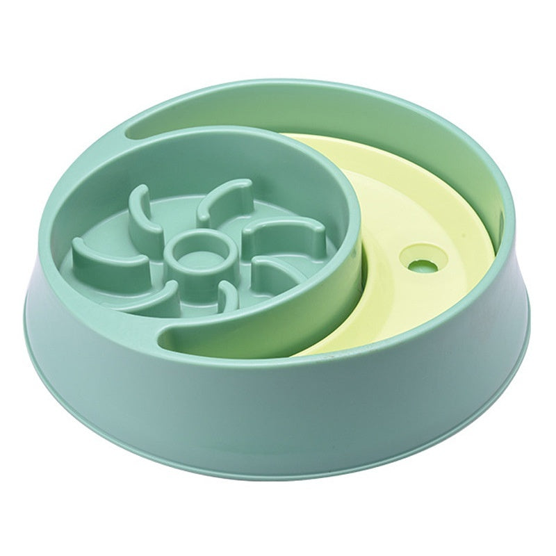 Water & Slow Feeder Pet Bowl